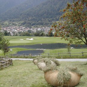 Golf Val Rendena | © Madonna di Campiglio Azienda per il Turismo 