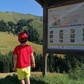 Passeggiata - I mille volti del bosco | © Community