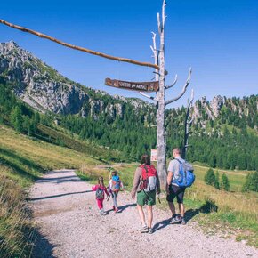 Alpe Lusia - Sentiero degli Animali - ©Archivio APT Val di Fassa | © APT Val di Fassa