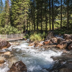 Ega te cuna - Penìa di Canazei ©Archivio APT Val di Fassa | © APT Val di Fassa