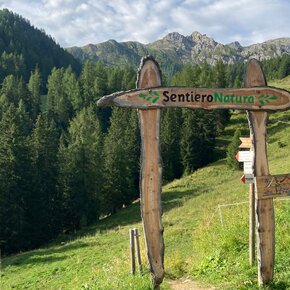 Alpe Lusia - Sentiero Natura - Valbona - Colvere - ©Archivio S.i.f. Impianti Funiviari Lusia S.p.a. | © APT Val di Fassa