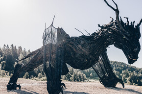 Lavarone Green Land – Drago Vaia – Abfahrt von Frazione Gionghi | © Azienda per il Turismo Alpe Cimbra