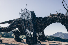 Weg des Drachen - Drago Vaia Regeneration - Abfahrt von Frazione Bertoldi | © Azienda per il Turismo Alpe Cimbra