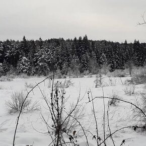 Passeggiata al Biotopo del Laghestel in inverno | © APT Trento 