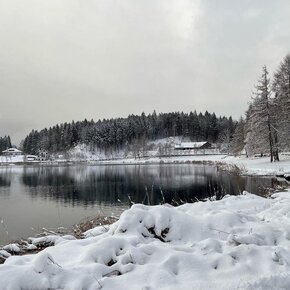 Da Cembra al Lago Santo | © APT Trento 