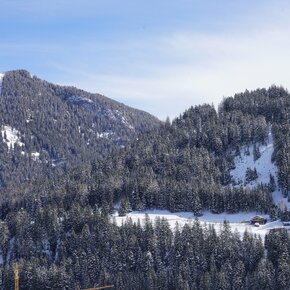 Pozza di Fassa - Malga Aloch ©Archivio APT Val di Fassa | © APT Val di Fassa