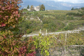 Richtung Monte Ghello | © APT Rovereto Vallagarina Monte Baldo