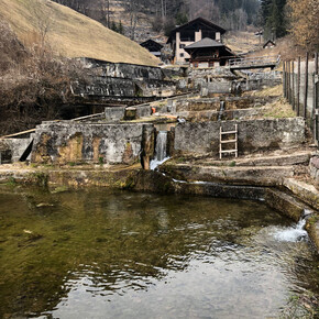 Le vasche della vecchia pescicoltura | © Madonna di Campiglio Azienda per il Turismo 