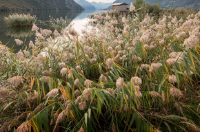 Biotopo al lago d'Idro, scrigno di biodiversità | © Madonna di Campiglio Azienda per il Turismo 