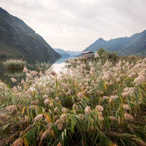 Biotopo al lago d'Idro, scrigno di biodiversità | © Madonna di Campiglio Azienda per il Turismo 