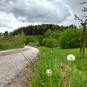 Tour 856 - Paesi di Baselga di Piné | © APT Trento 