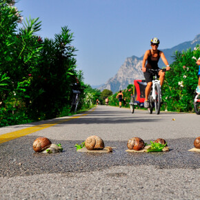 Mit Kindern auf dem Radweg entlang des Flusses Sarca fahren | © Garda Trentino
