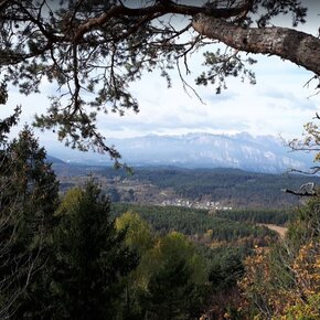Passeggiata al punto panoramico del Dos de La Mot - da loc. Poggio dei Pini | © APT Trento 