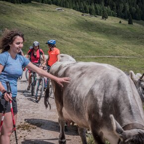 Dal passo del Redebus a Malga Stramaiolo | © APT Trento 