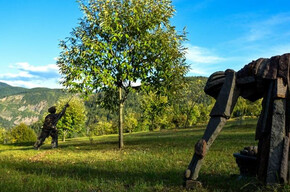 Vom Museo Casa Porfido zum Faunapark und den Steinbrüchen von Albiano | © APT Fiemme Cembra