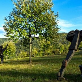 Da Museo Casa Porfido, al parco Faunistico e le cave di Albiano | © APT Fiemme Cembra