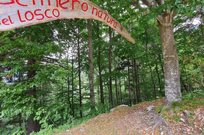 Losco Weg | © APT Rovereto Vallagarina Monte Baldo