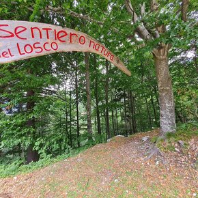 Sentiero del Losco | © APT Rovereto Vallagarina Monte Baldo