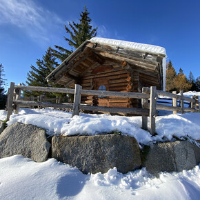 Rundweg zwischen der Hütte Tillhittl und dem See Tret | © APT Val di Non 