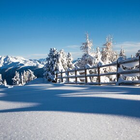 Alpe Cermis | © APT Fiemme Cembra