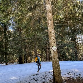 Segnale percorso 1 | © APT Madonna di Campiglio, Pinzolo, Val Rendena