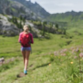 Sentiero tematico Out of the box - Ciampac Alba di Canazei ©Archivio Funivia Ciampac e Contrin S.p.A. | © APT Val di Fassa