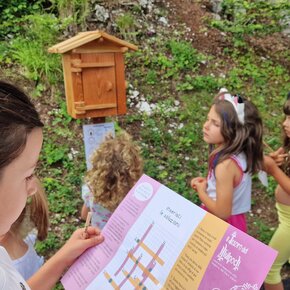 Il Tesoro del Mulpoch | © Azienda per il Turismo Alpe Cimbra