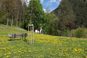 Pic Nic San Vigilio | © Madonna di Campiglio Azienda per il Turismo 