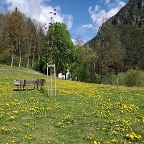 Zona Pic Nic San Vigilio | © Madonna di Campiglio Azienda per il Turismo 