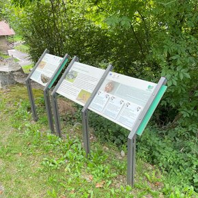 Pannelli esplicativi posizionati lungo il percorso | © Madonna di Campiglio Azienda per il Turismo 