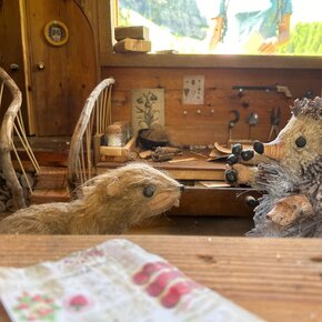 Il sentiero delle marmotte ©Archivio Funivia Ciampac e Contrin S.p.A. | © APT Val di Fassa