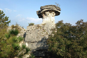 Albaredo Mushroom Trail | © APT Rovereto Vallagarina Monte Baldo