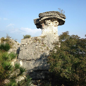 Albaredo Mushroom Trail | © APT Rovereto Vallagarina Monte Baldo