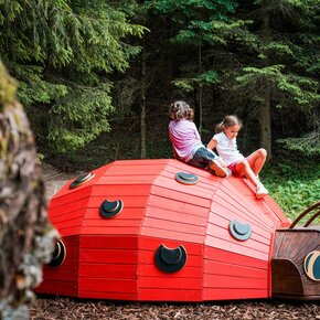 Mega Bugs | © APT Dolomiti di Brenta e Paganella