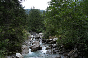 Fiume nei pressi di Malga Nardis | © Madonna di Campiglio Azienda per il Turismo 