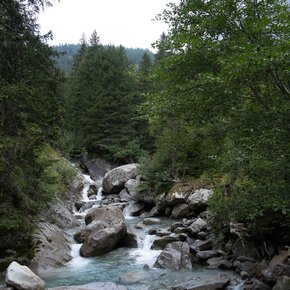 Fluss in der Nähe von Malga Nardis | © Madonna di Campiglio Azienda per il Turismo 