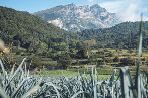 Mount Stivo from Passo Bordala | © Garda Trentino 