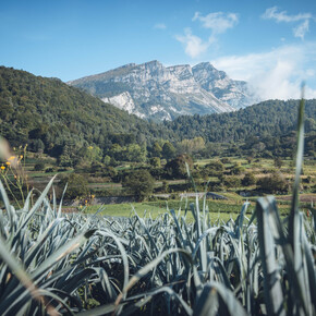 Mount Stivo from Passo Bordala | © Garda Trentino 