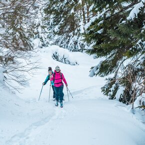 FRANCOLINI 2 | © Azienda per il Turismo Alpe Cimbra