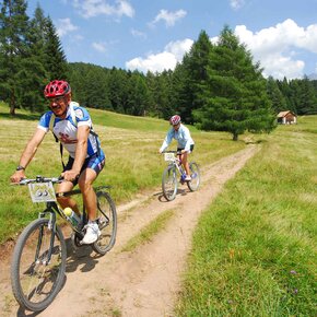 Pascoli splendidi | © APT Fiemme Cembra