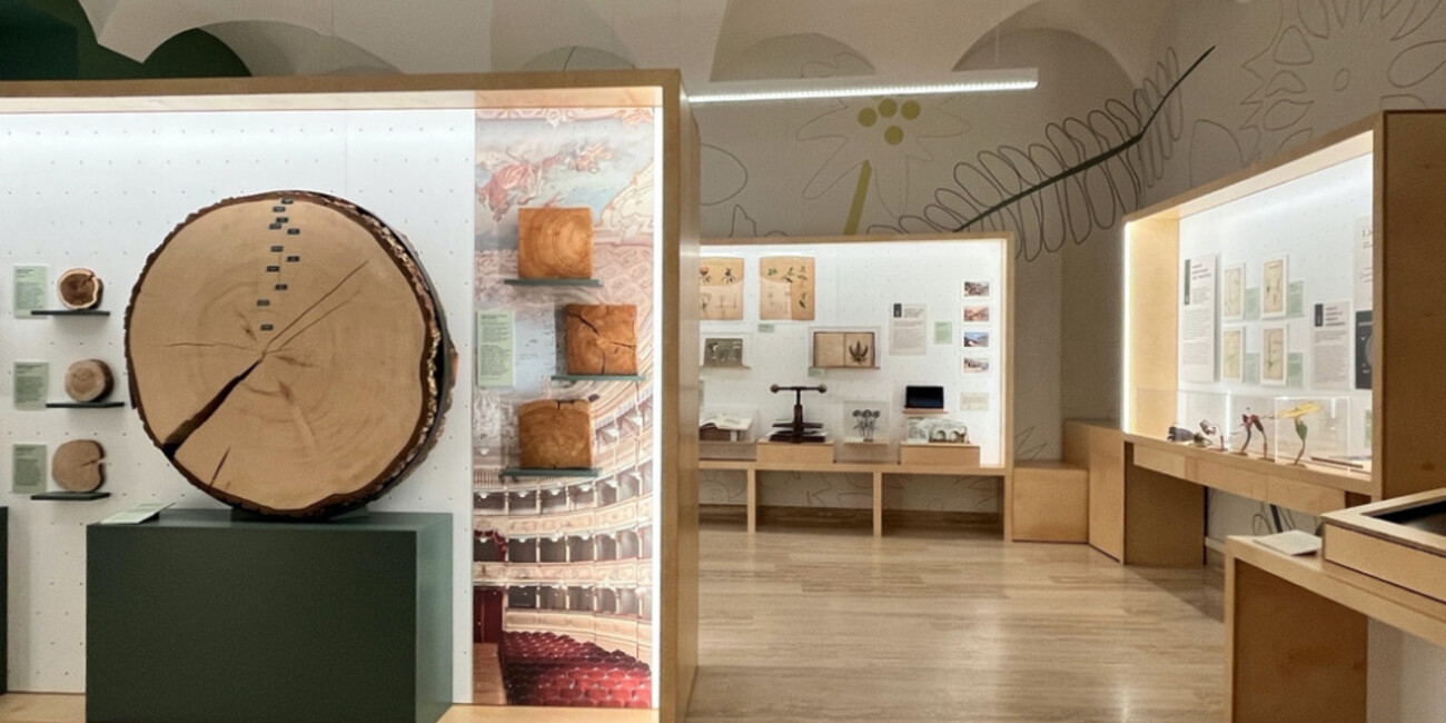 Museo di Scienze e Archeologia #2