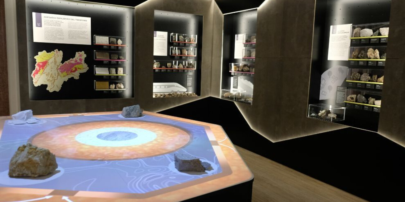 Museo di Scienze e Archeologia #3