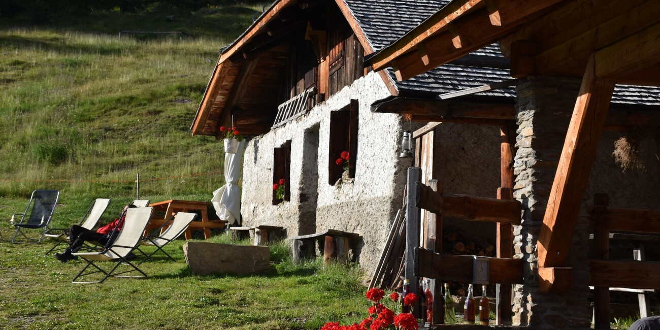 Museo NestAlp Malga Campo - Celentino di Peio #1