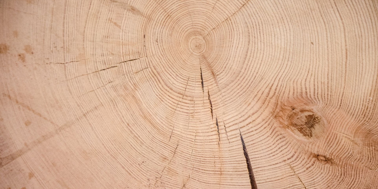 Segheria di Celledizzo – Museo Etnografico del Legno #4