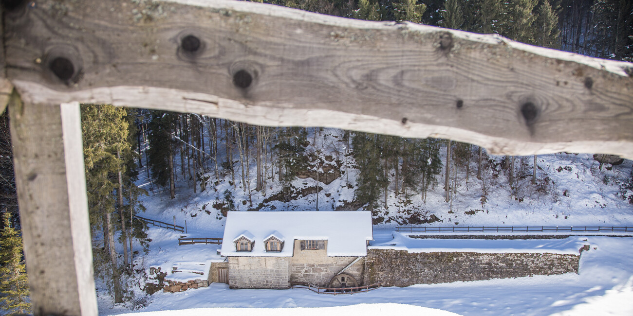 La Segheria dei Mein #2