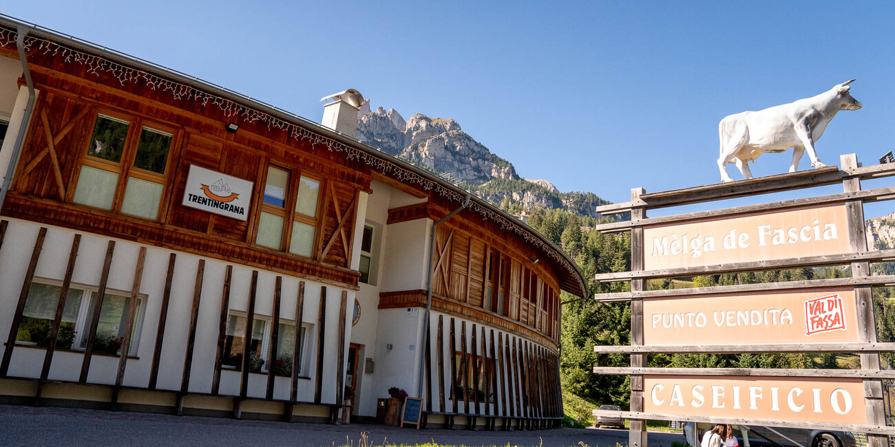 L Malghier - Die Käseherstellung #2