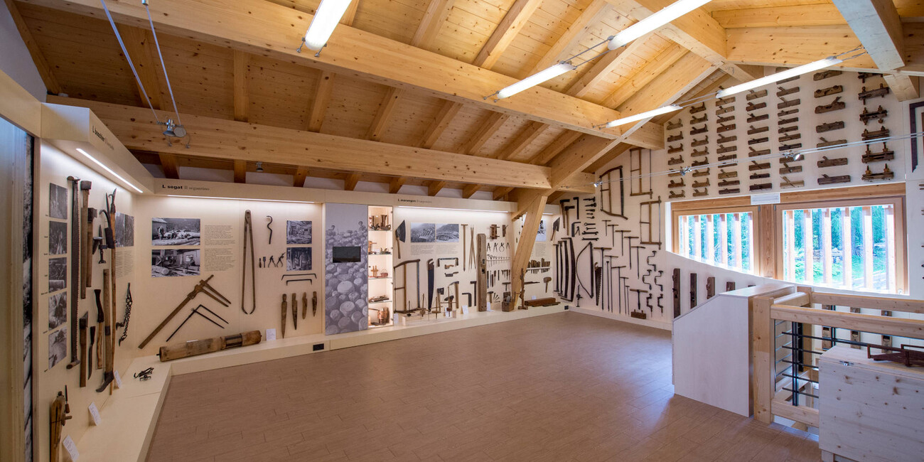 L Segat - The sylviculture #6