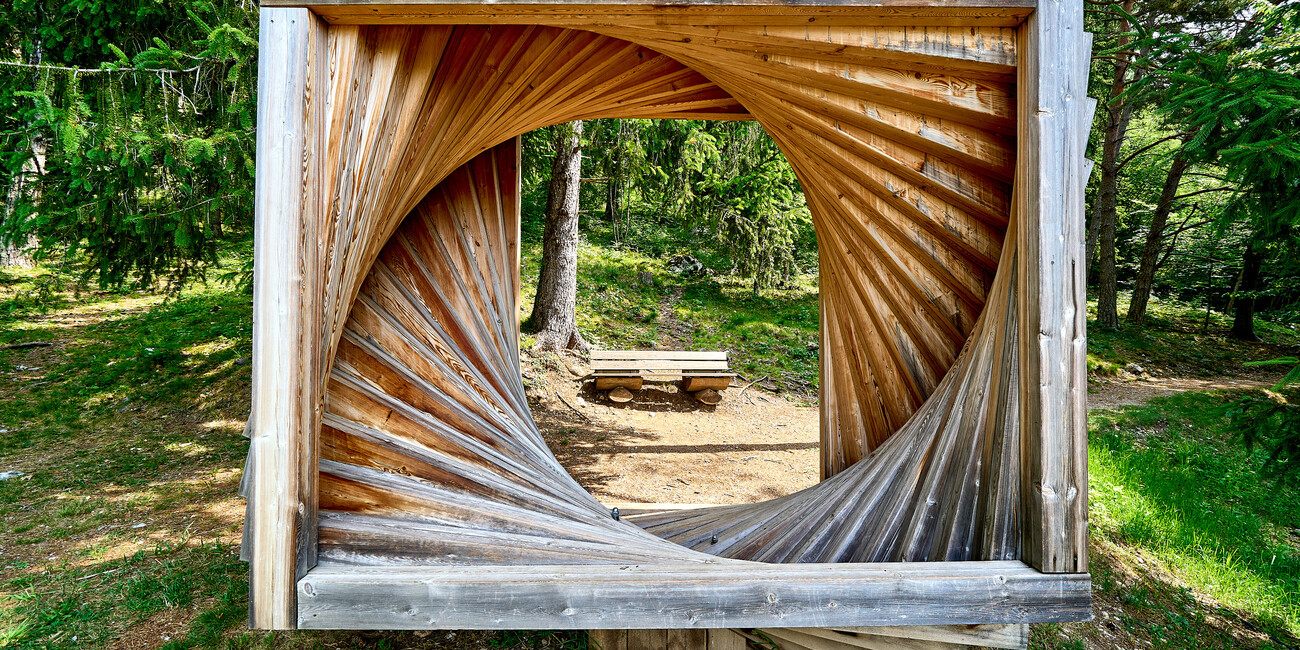 BoscoArteStenico - Museo d'Arte nella Natura #3