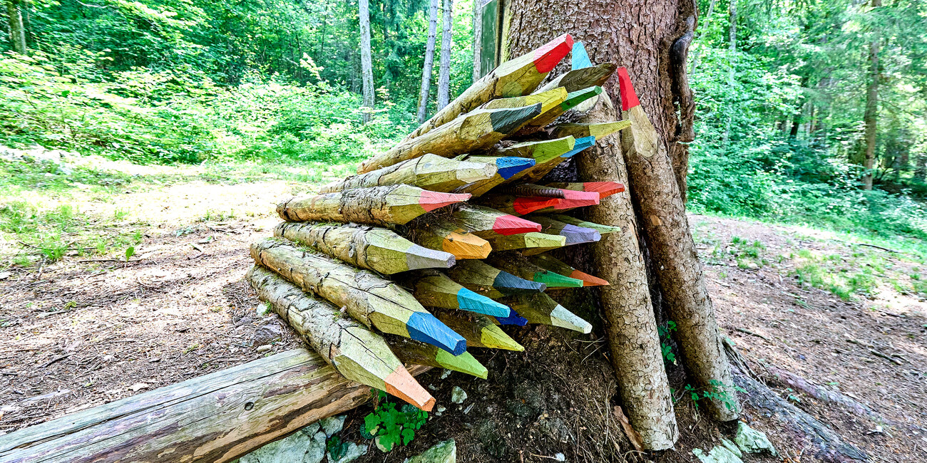 BoscoArteStenico - Museo d'Arte nella Natura #7