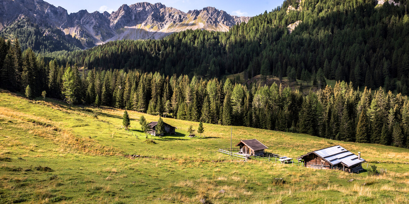 Punto Panoramico Monzoni - Cima Undici #5